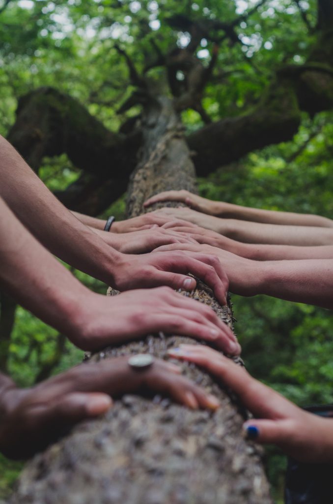 Many hands with resting on a long from both left and right